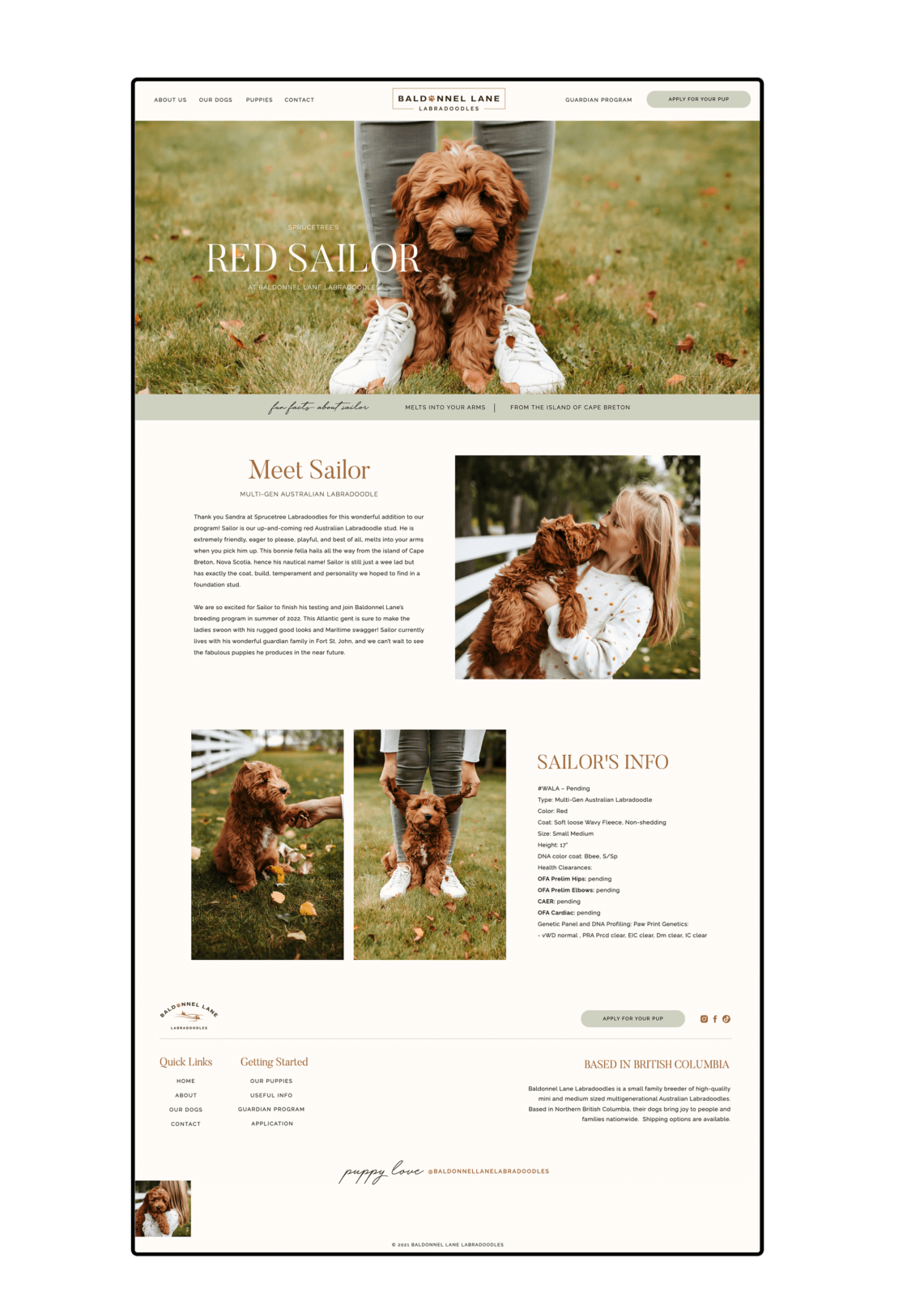 Showit Dog Breeder site Design for Baldonnel Lane CWD