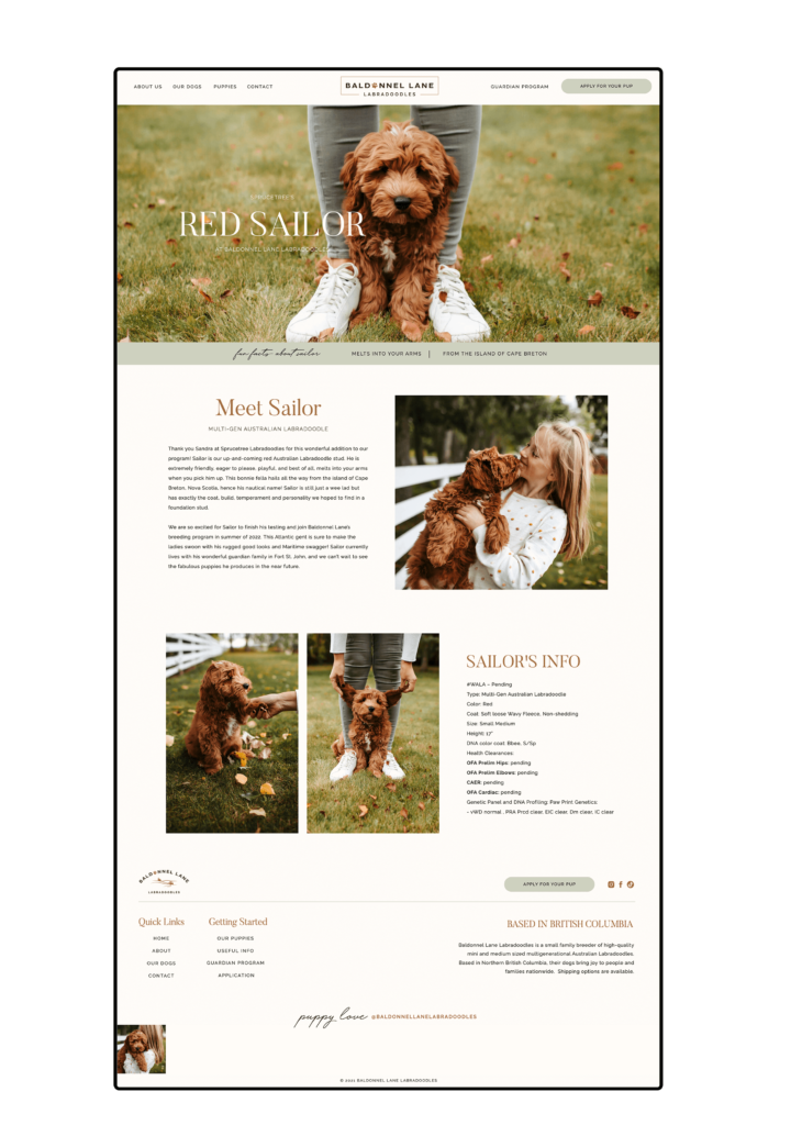 Dog Breeder Website Design on Showit