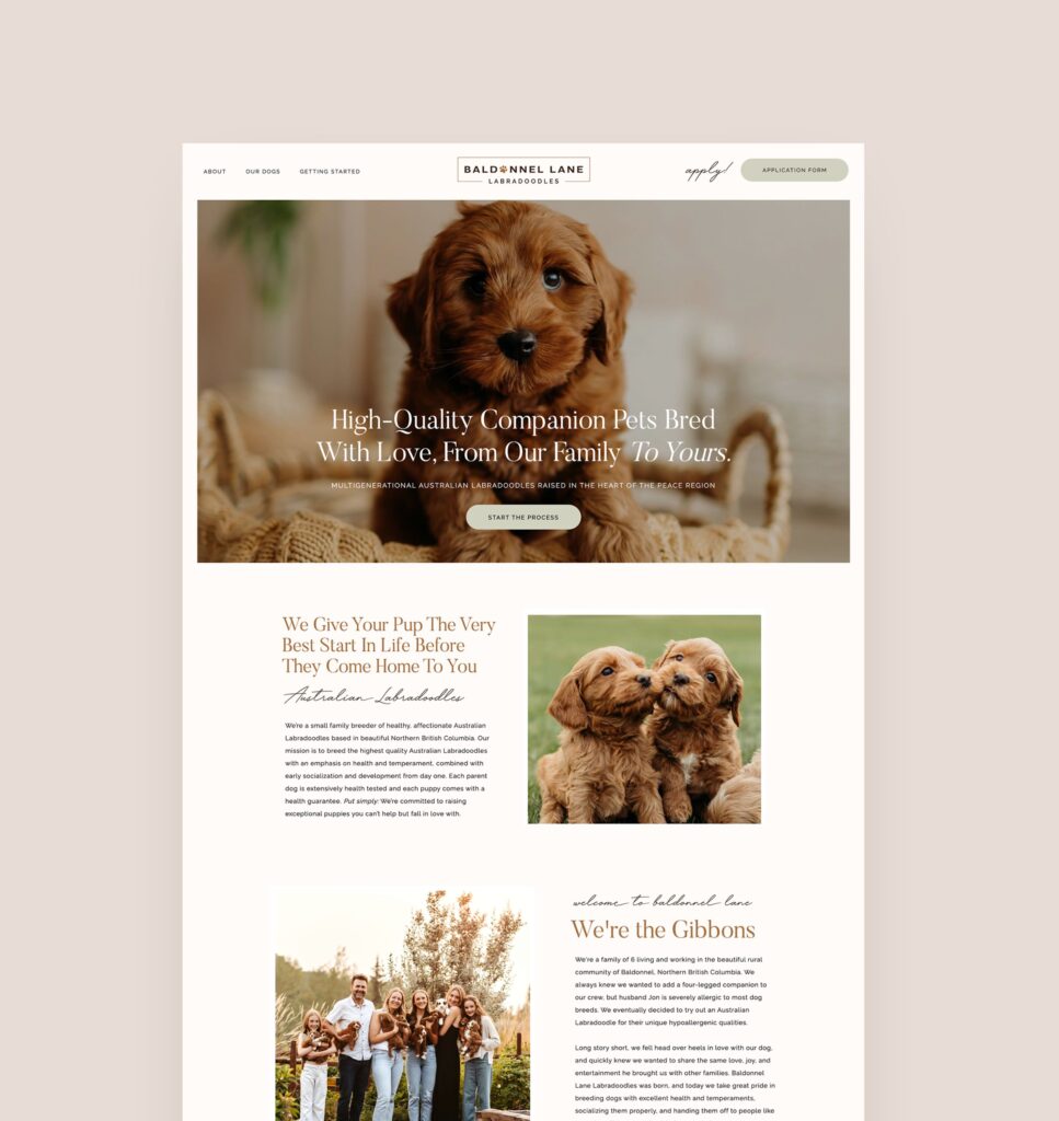 Custom Showit Website Design for Dog Breeders